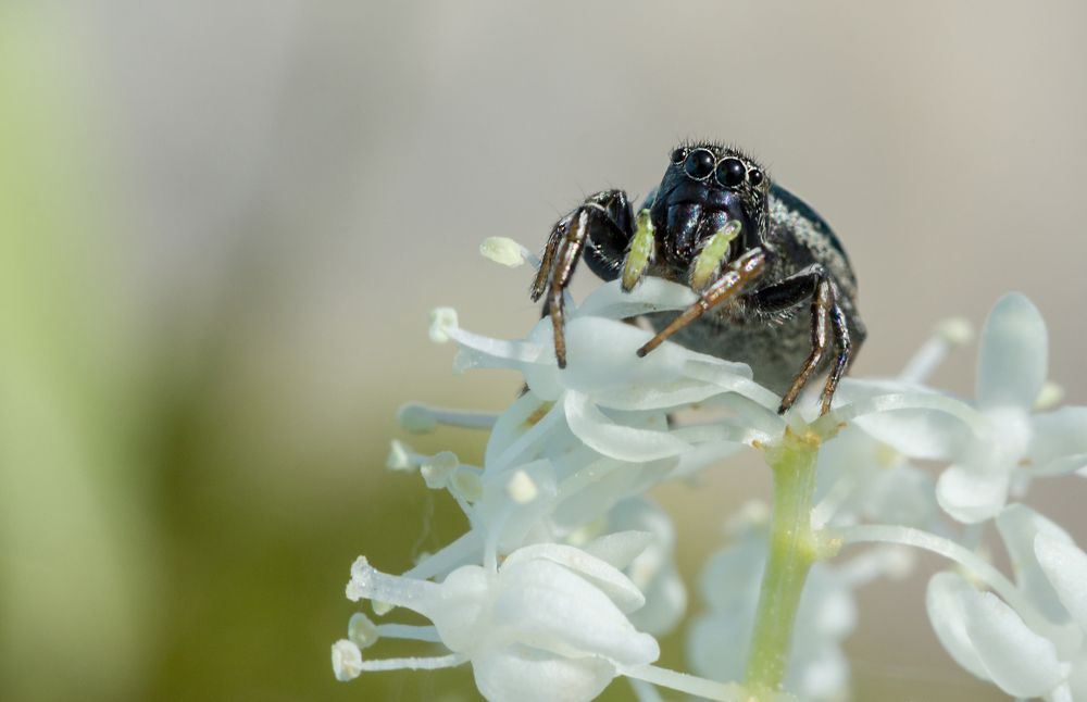 Photograph by Koledova Irina