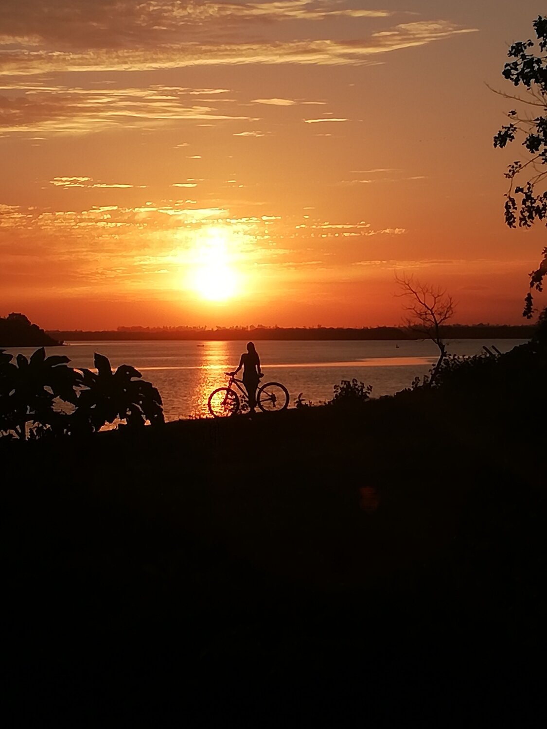 Photo #10641362