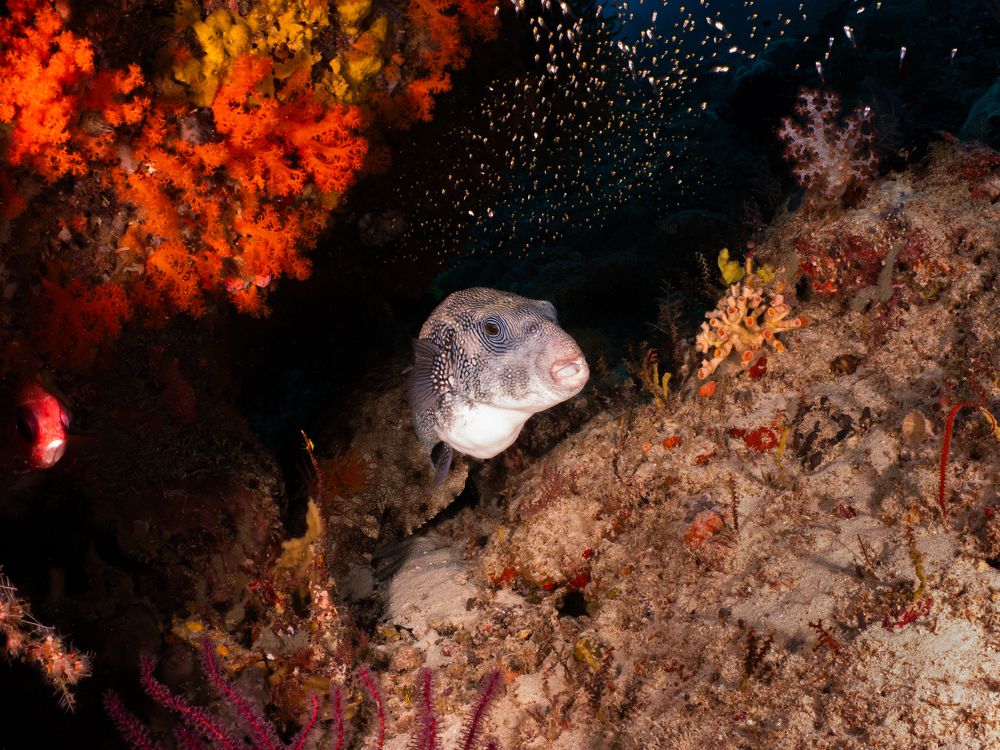 Photograph by Helena Lemos