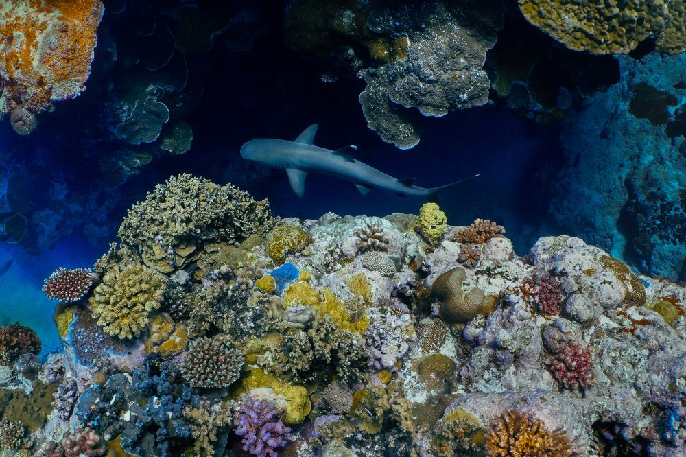 Photograph by Helena Lemos