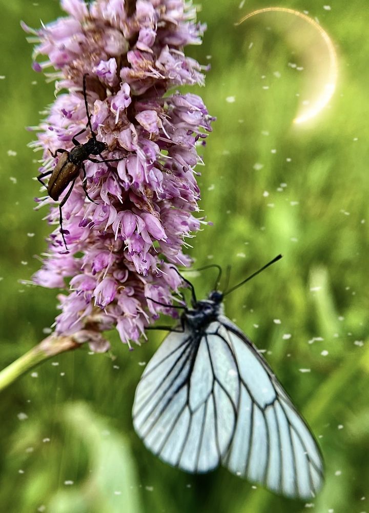 Photograph by Екатерина