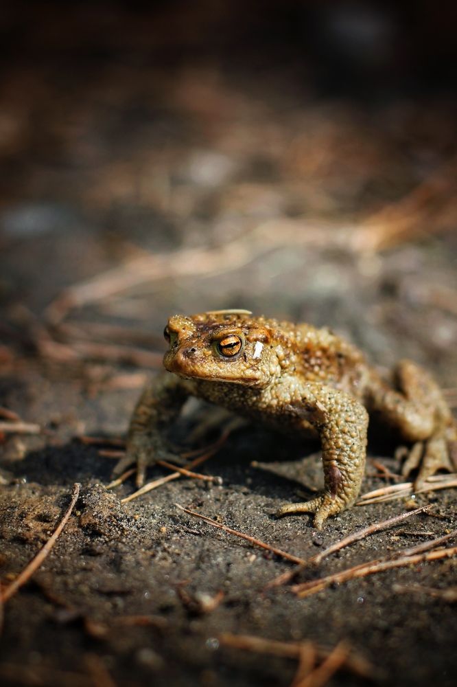 Photograph by Астафьева Анастасия