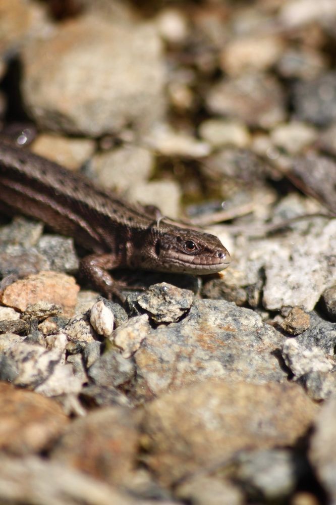 Photograph by Астафьева Анастасия