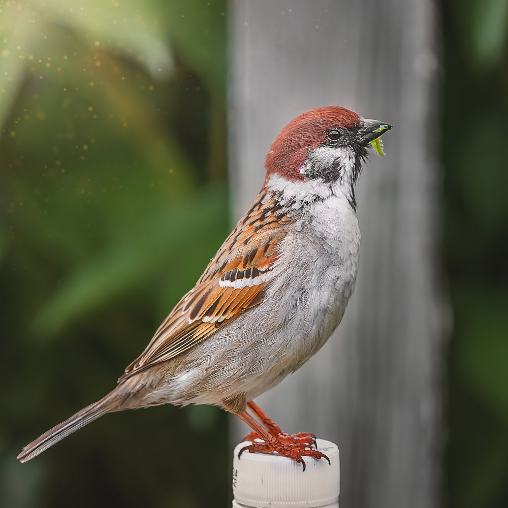 Photograph by Олег Белан