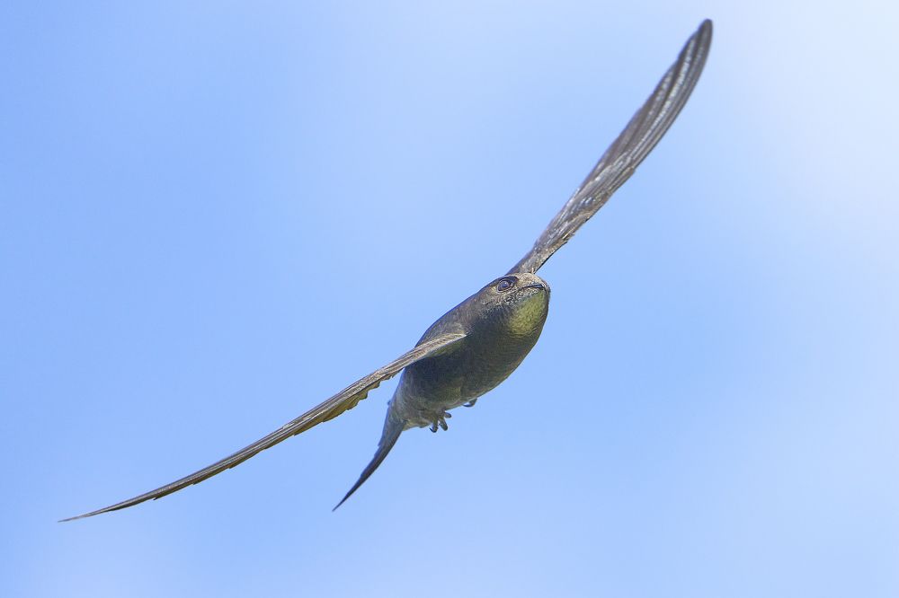 Photograph by Puum Mati