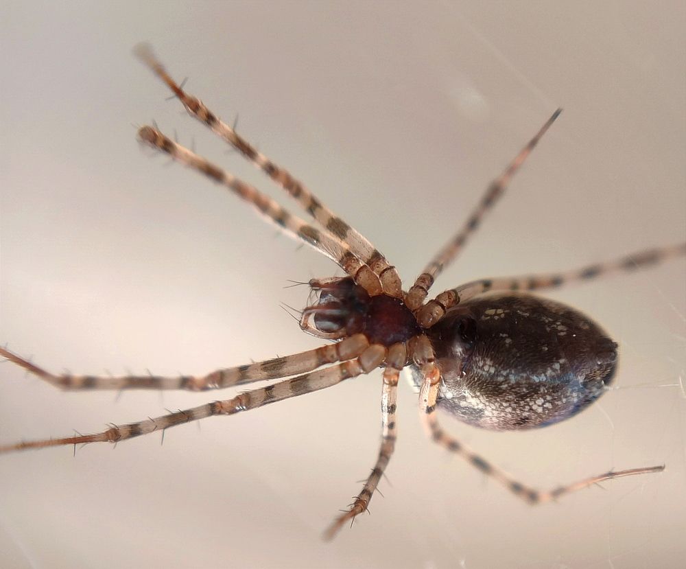 Photograph by AlexaL