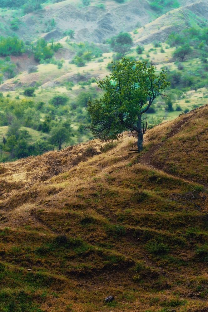 Photograph by Света Богоявленская