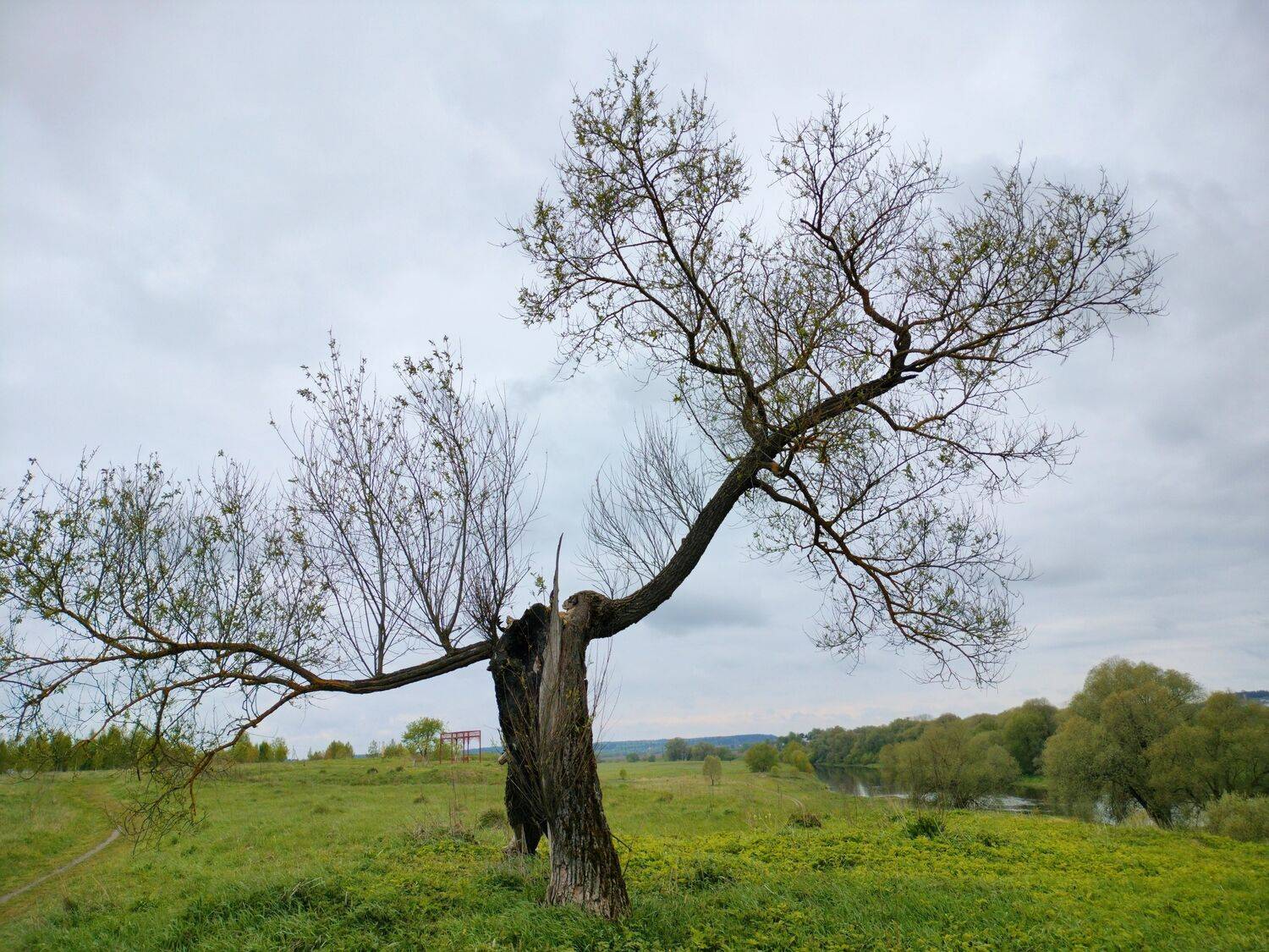 Photo #10641508