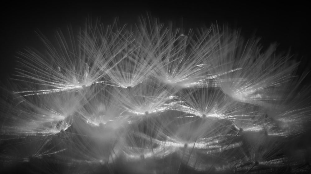 Photograph by Татьяна Романова