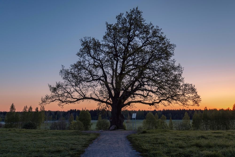 Photograph by Илькин Салимов