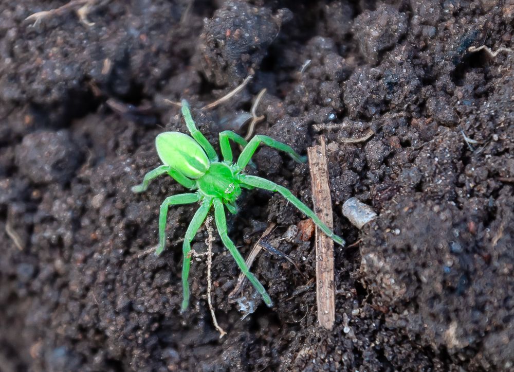 Фотография автора Олег Анатольевич Загорулько