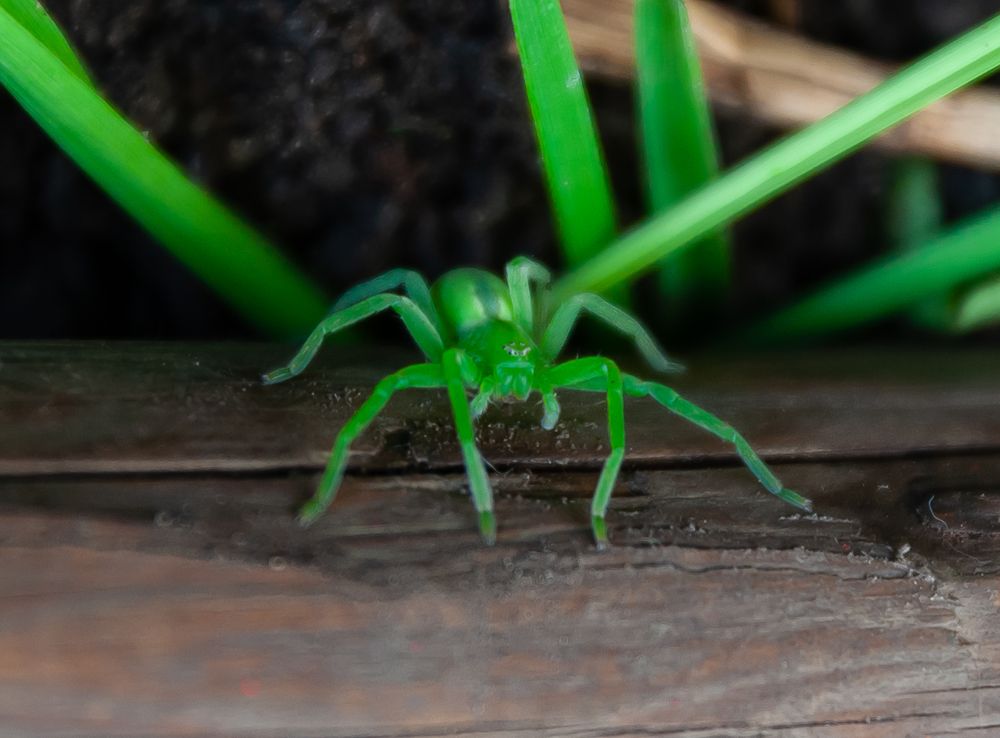 Фотография автора Олег Анатольевич Загорулько
