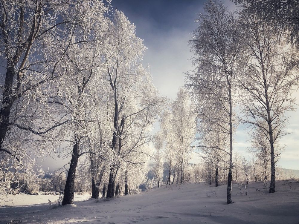 Photograph by Вадим Басов