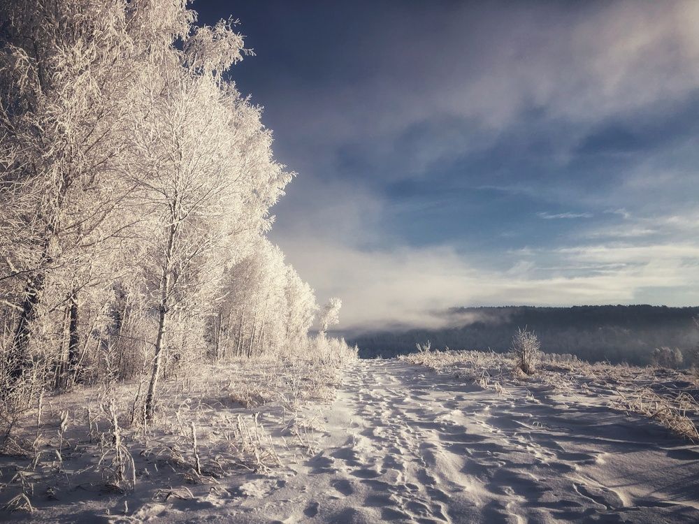 Photograph by Вадим Басов