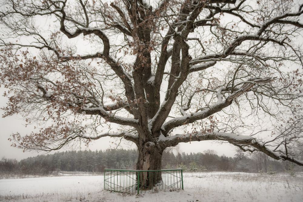 Photograph by Татьяна Романова