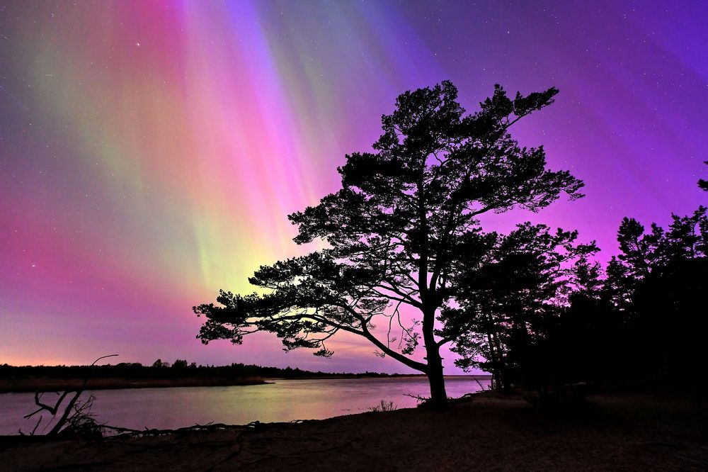 Photograph by Vitalijs Kopa