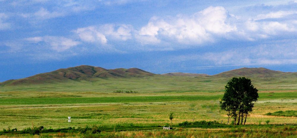 Photograph by Михаил Максимов