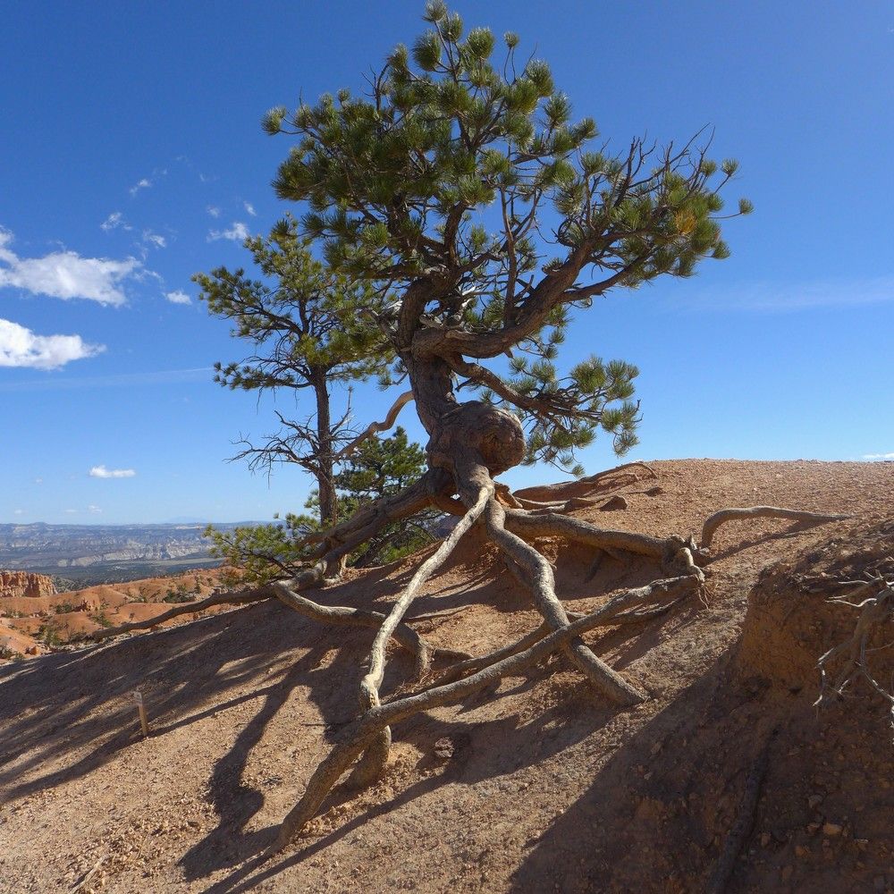 Photograph by Ирина Орлова