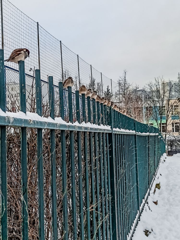 Photograph by Анна Савина