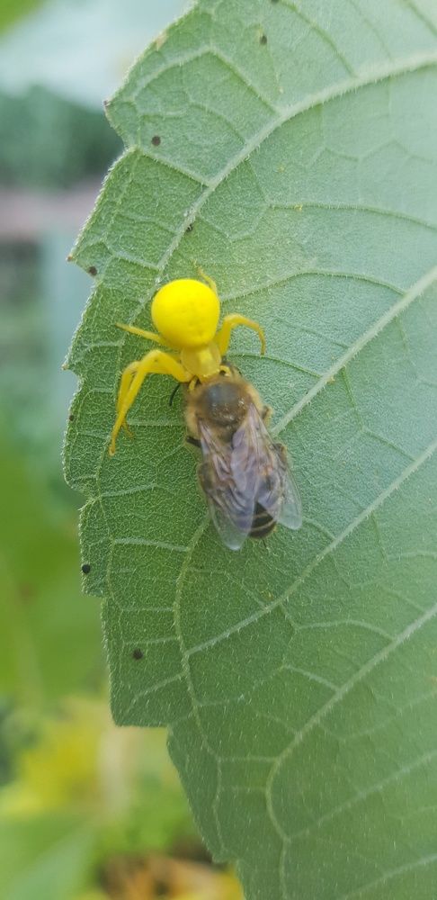 Фотография автора Ольга Мусина