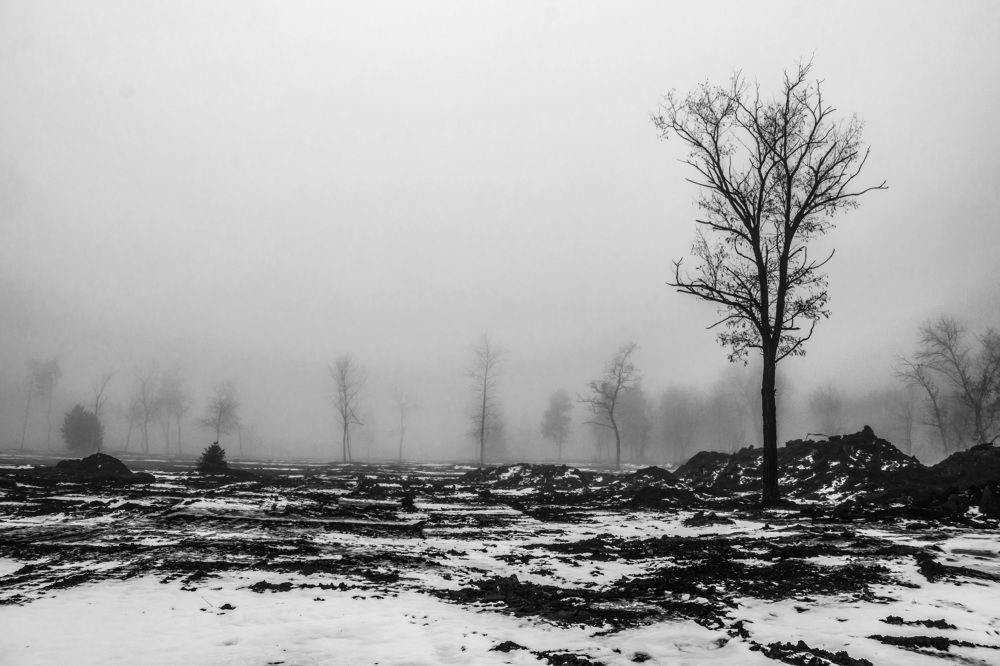 Photograph by Сергей Нестеров