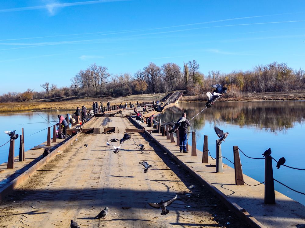 Photograph by Ирина Шибитова