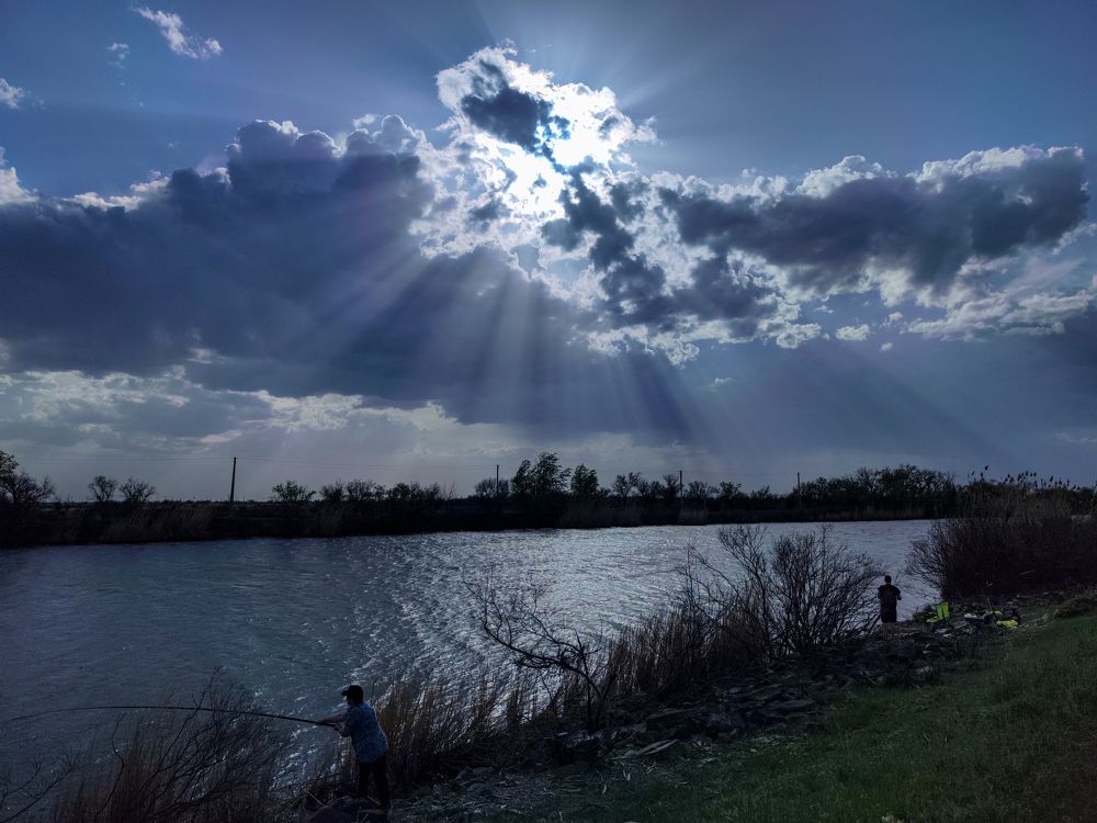 Photograph by Ирина Шибитова