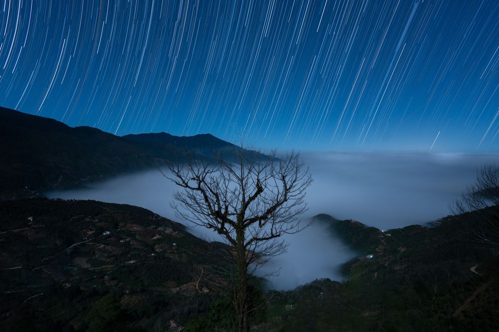 Photograph by MT-nguyen