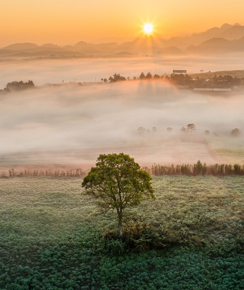 Photograph by MT-nguyen