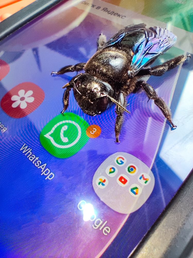 Photograph by Ирина Шибитова