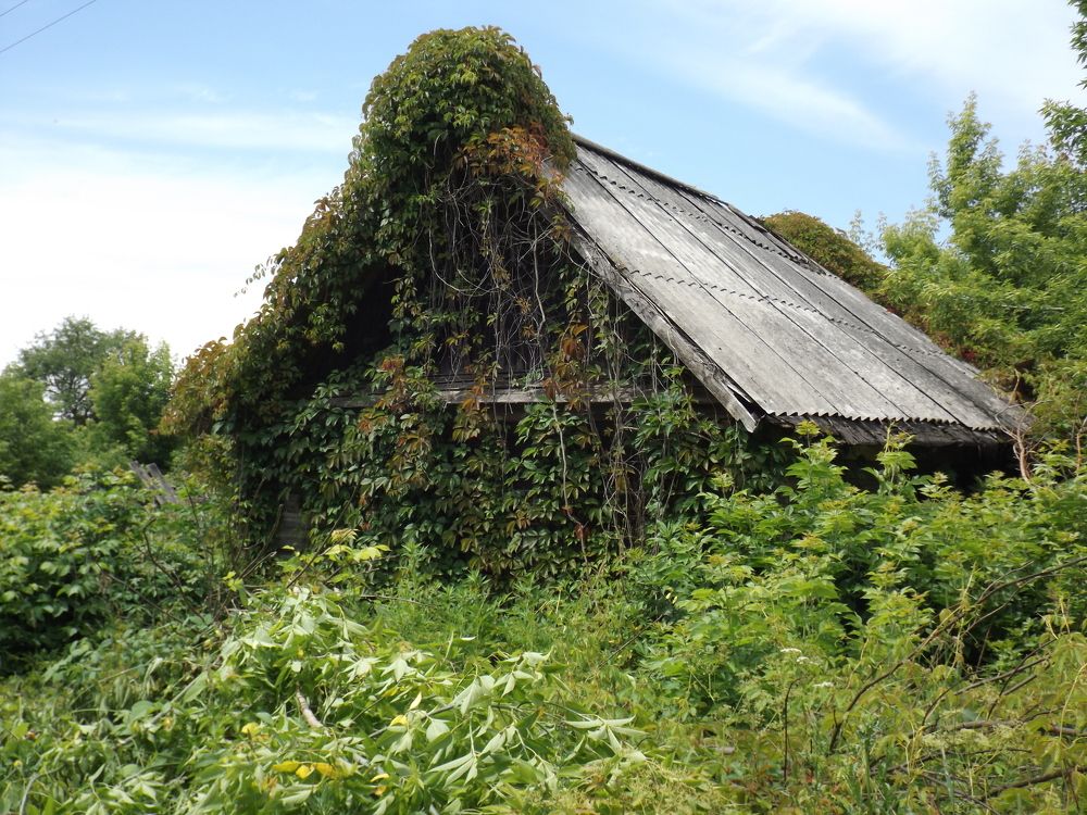 Фотография автора Oleg Podlesnykh