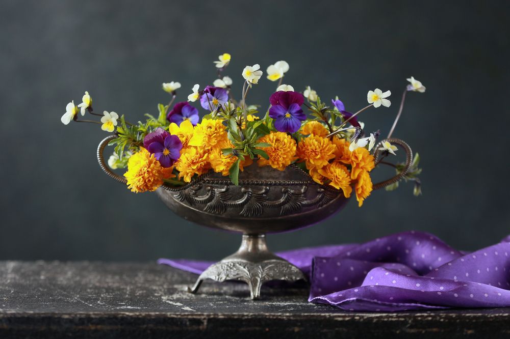 Photograph by Алена Гершфельд