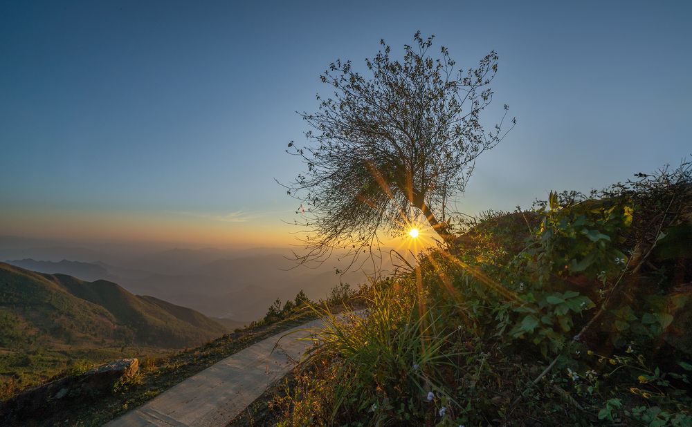 Photograph by MT-nguyen