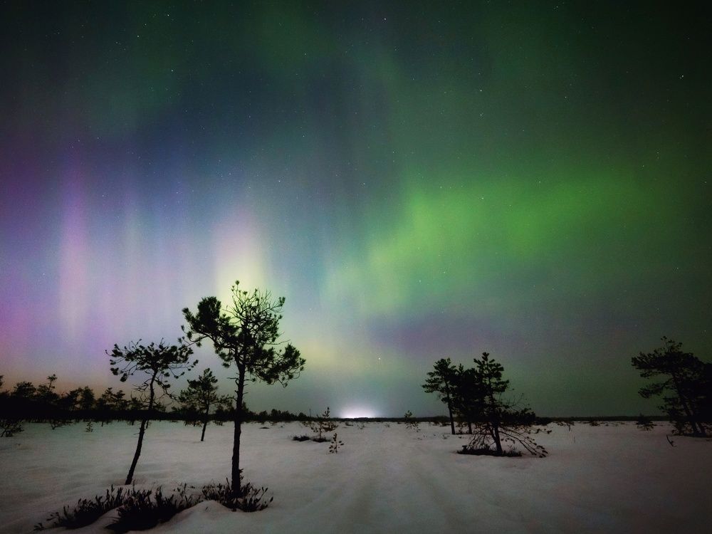 Фотография автора Вячеслав Голубцов