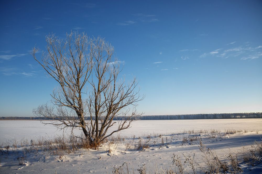 Photograph by Алексей Трифонов