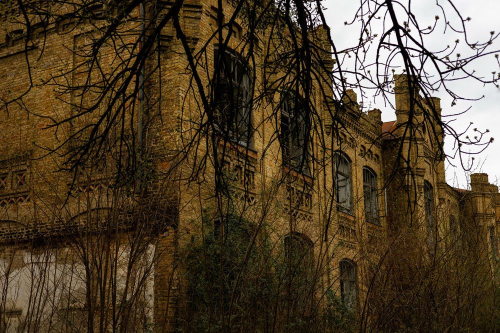 Фотография автора Yuliya Yuskova