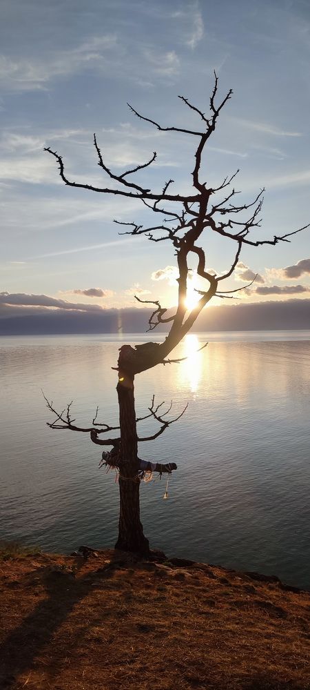 Фотография автора Оркина Ксения