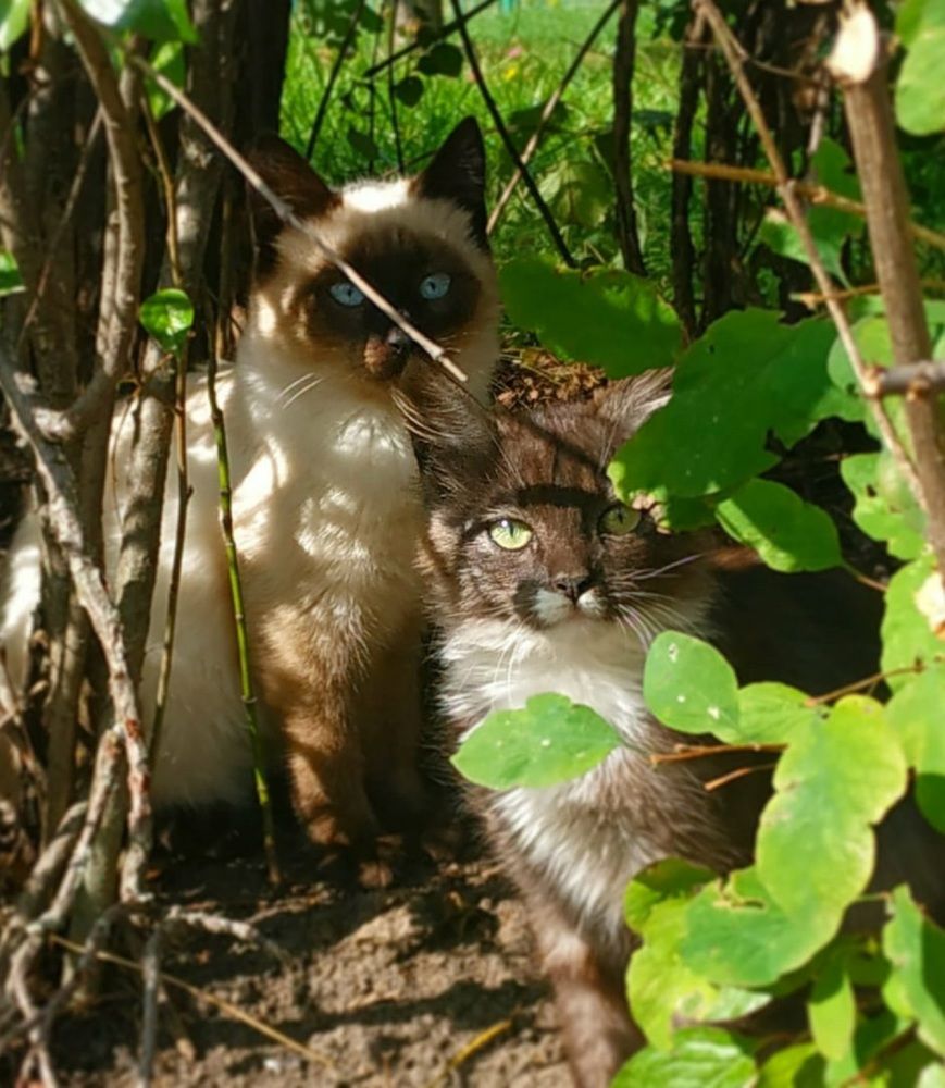 Photograph by Фомочкин Алексей