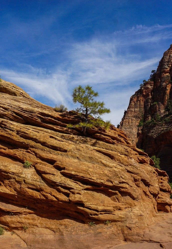 Photograph by Manish (Valmie) Joshi