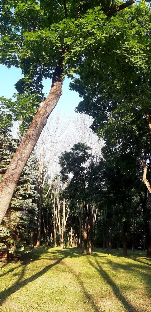 Photograph by Svetlana Nemontova