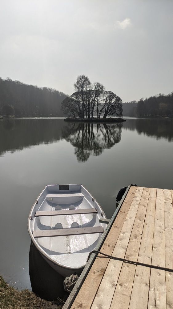 Фотография автора Васильева Ирина