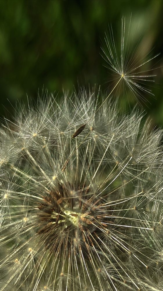 Фотография автора Васильева Ирина