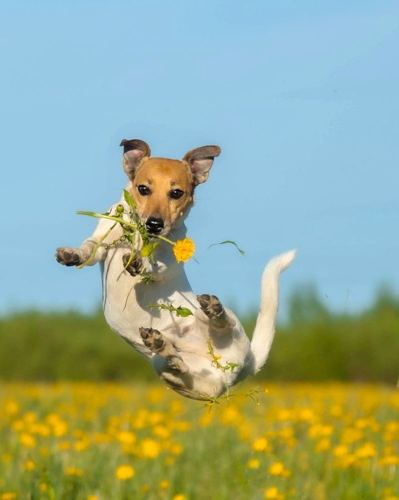 Photograph by Татьяна