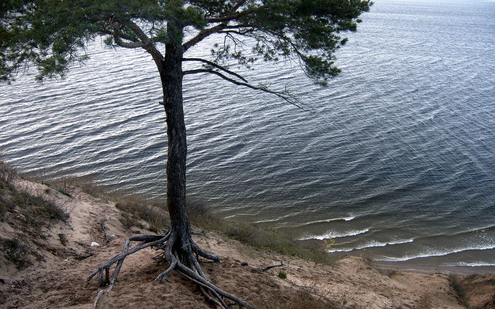 Photograph by Сергей Рудаков