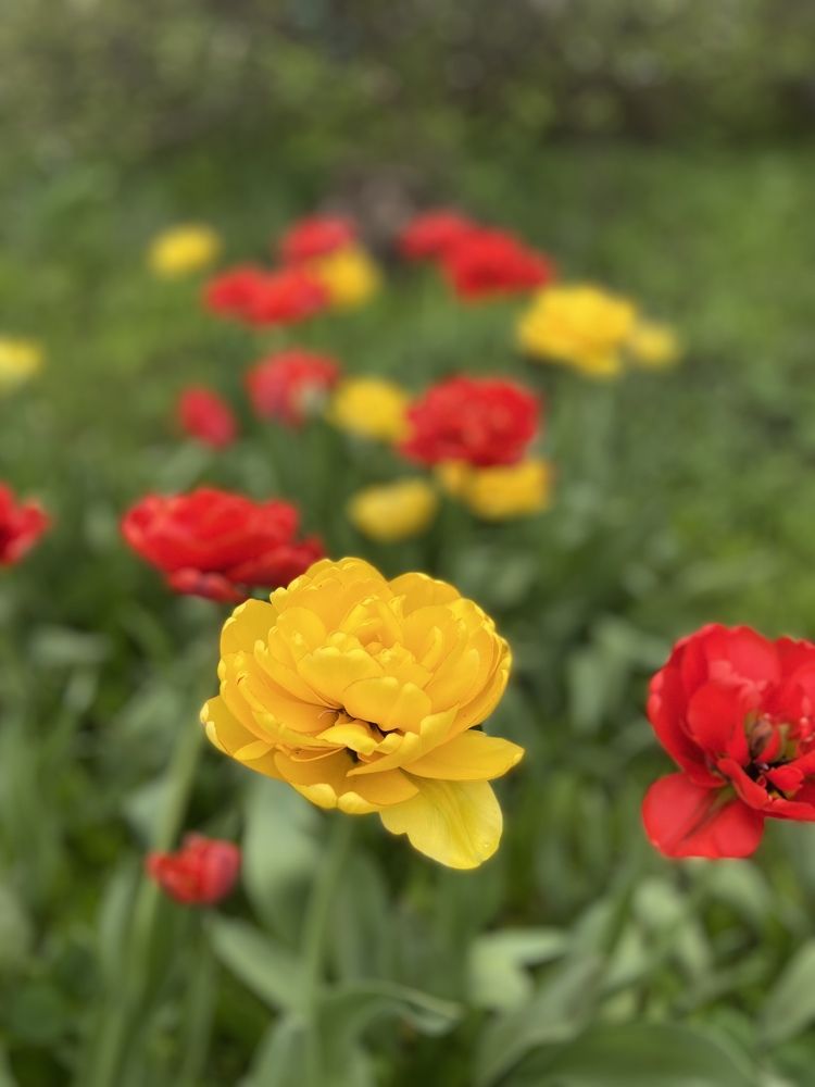 Photograph by Наталья Душакова