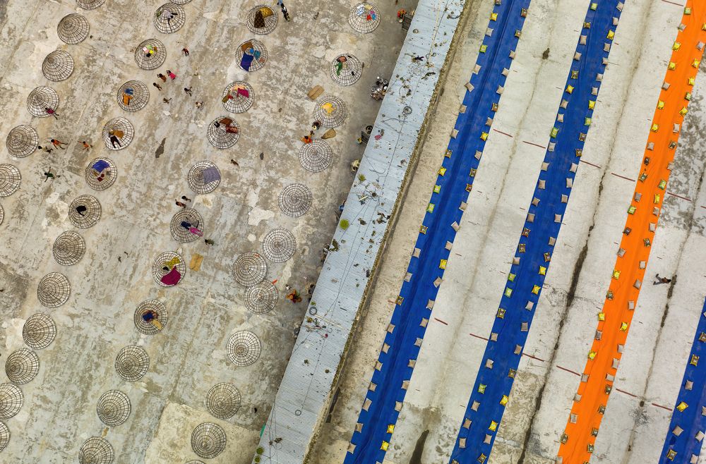 Rice Processing Field