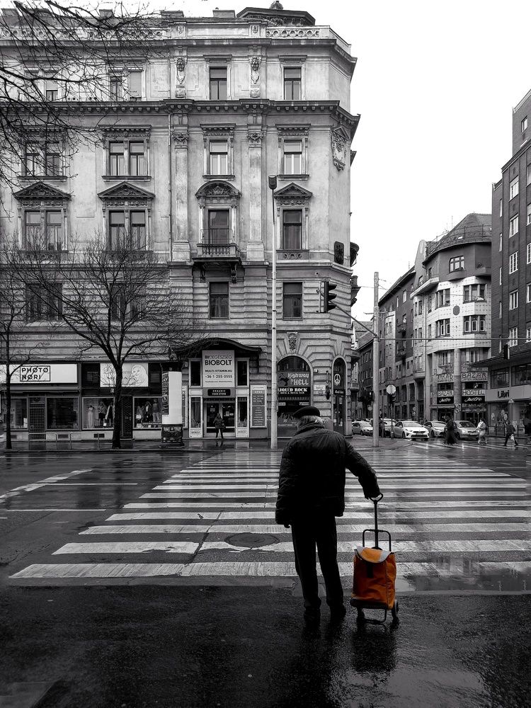 Фотография автора Polina Mamysheva