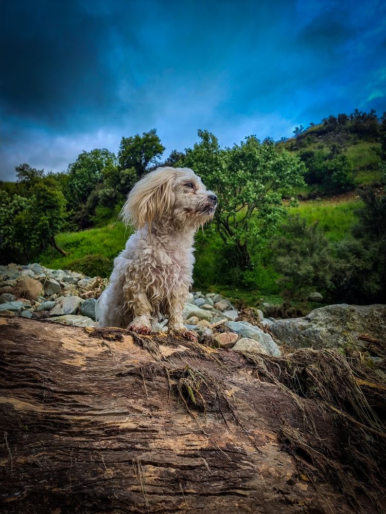 Фотография автора Rebecca