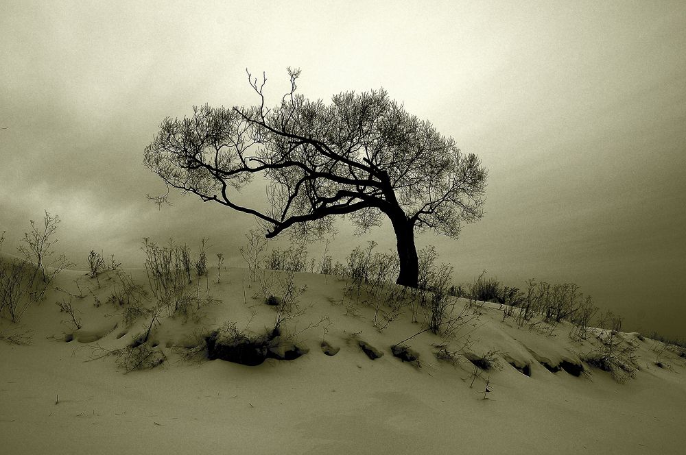 Photograph by Сергей Сережников