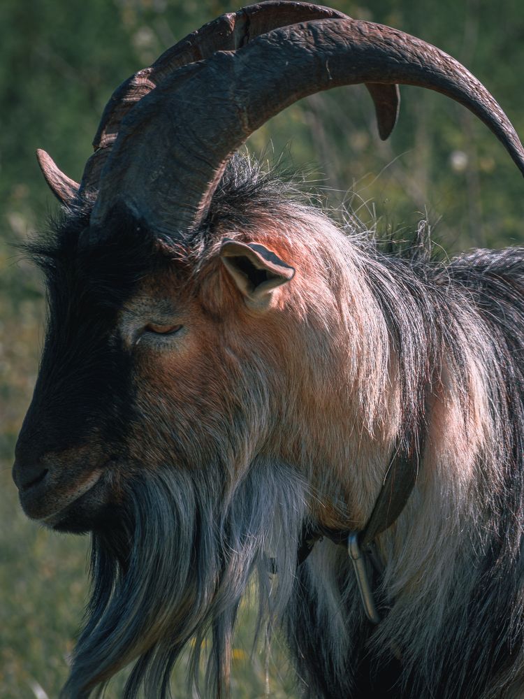 Photograph by Ольга Волкова